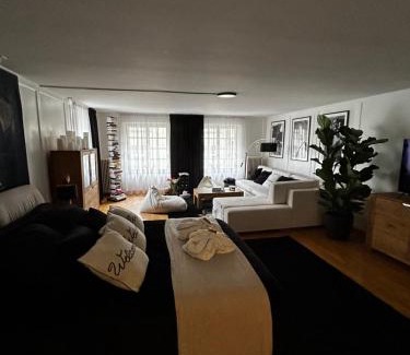 Grunes Quartier Apartment | Soul of Bern
