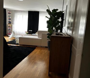 Grunes Quartier Apartment | Soul of Bern
