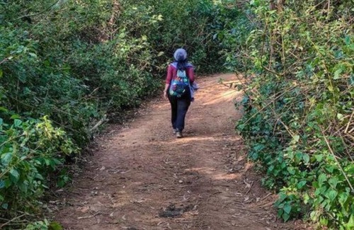 Periyur House | Soul Surfers Forest Homestay