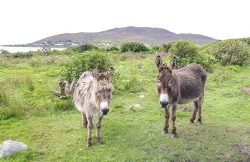 Achill Sound House | Sound Cottage