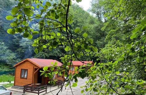 Tismana House | Sound of Nature Tismana