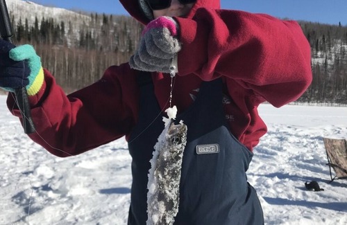 Tok Cabin | Sourdough Cabin - Private