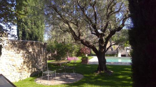 Buisson Apartment | Sous le figuier.