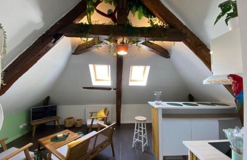 Ablis Apartment | Sous les tropiques d’Ablis