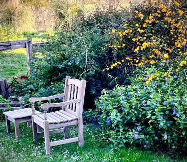 Castaignos-Souslens Bed & Breakfast | souslens, Castaignos-Souslens 40