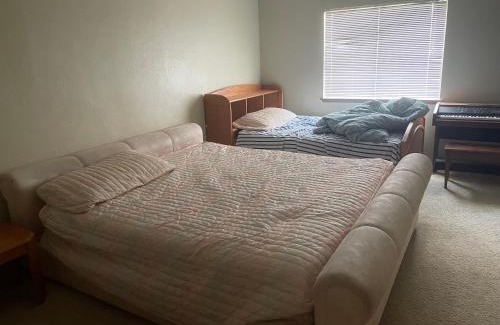 South Arlington Bed & Breakfast | South Arlington B and B