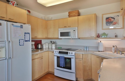 Maxwelton House | South facing, beach house 20 feet from the water! Kayaks and a brand new hot tub