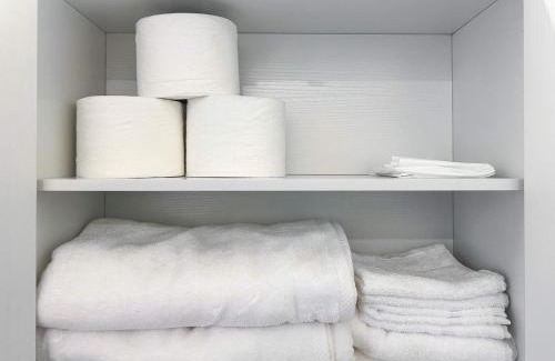 The Loop Apartment | South Loop Rooftop With In & Out Parking 1