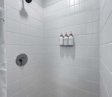 The Loop Apartment | South Loop Rooftop With In & Out Parking 1