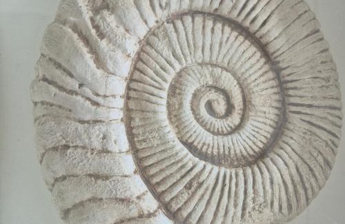 Waterfront Apartment | South Quay no 6