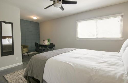 Travis Heights Apartment | South River Condo