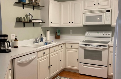 East Jordan Condo | South Shore Haven - Lake Charleviox Waterfront Condo