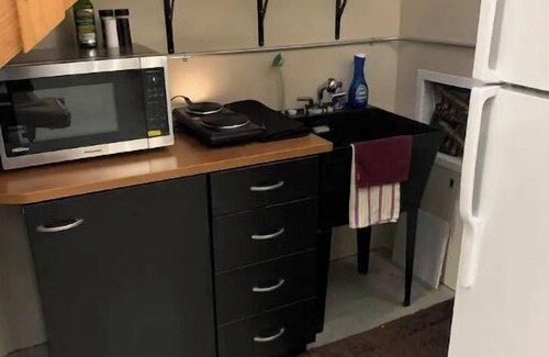 Mount Vernon Apartment | South Skagit Valley Studio