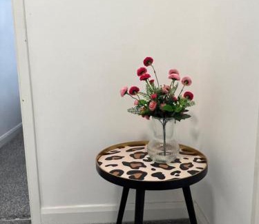 Northampton Apartment | Southampton Bridge Home by AFL