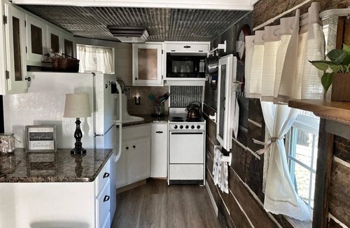 Springville Cabin | Southern Blooms! Porch Swinging, Pet-Friendly🐶, Tiny Home near Kentucky Lake!