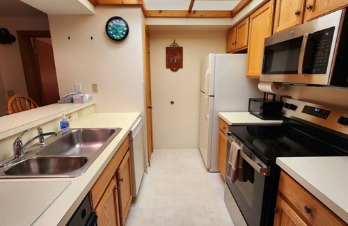 Harbor Springs Condo | Southridge #20 - Slopeside Ski-in/Ski-out at Nub's Nob