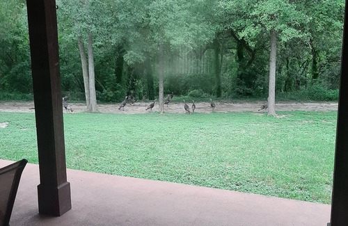 Southside House | Southwest Home on San Antonio River