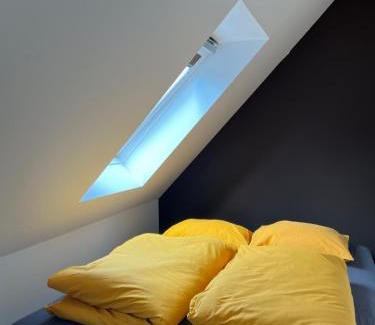 Hostka Apartment | Sova