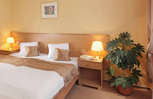 Frantiskovy Lazne Hotel | Spa Hotel Savoy