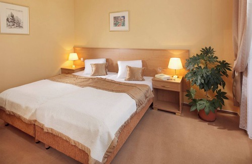 Frantiskovy Lazne Hotel | Spa Hotel Savoy