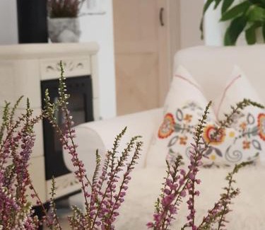 Zielona Gora Apartment | Spa Love Apartament Sauna Jacuzzi ROMANTYCZNY APARTAMENT DLA PARY Z PRYWATNYM SPA