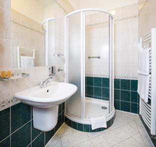 Lazne Libverda Hotel | Spa Resort Libverda - Villa Friedland