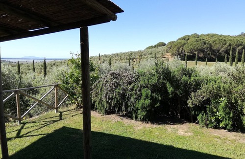 Castiglione della Pescaia House | Spacious vacation home "Azzurrina" in the middle of a beautiful olive grove
