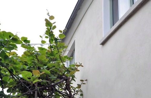 Forst an der Weinstraße Apartment | Spacious apartment - ideal for families