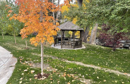 Lakewood Apartment | Spacious, 1 BD guesthouse, w/free parking
