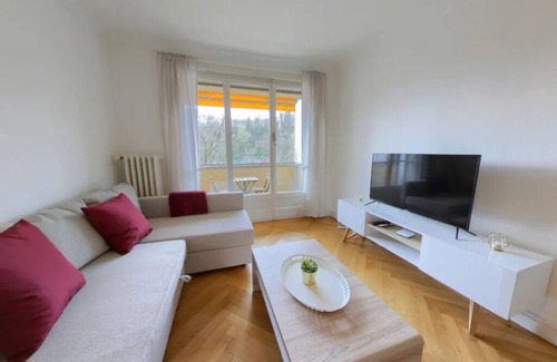 Ansermet Apartment | Spacious 1-Bedroom Apartment w/River Views & Balcony - Jonction District