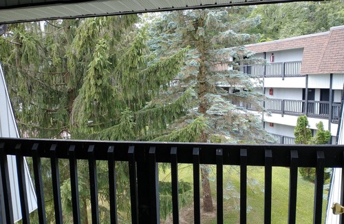 Claysburg Condo | Spacious 2 Bedroom Blue Knob Ski Condo Mountain Getaway