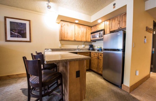 Crested Butte Condo | Spacious 2 Queen Condo, Pet-Friendly + Kitchenette