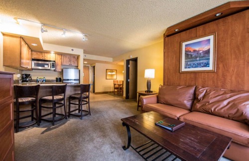 Crested Butte Condo | Spacious 2 Queen Condo, Pet-Friendly + Kitchenette