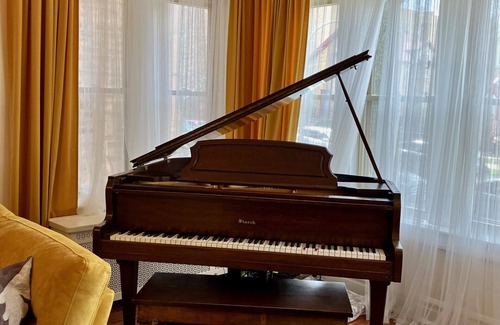 Rogers Park Apartment | Spacious 2BR, this hidden gem combines vintage allure with urban flair!