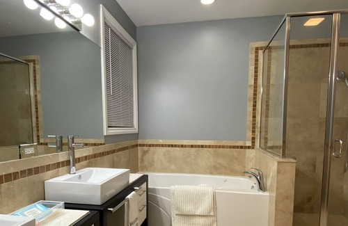 Grand Boulevard Condo | Spacious 3 bed Chicago condo