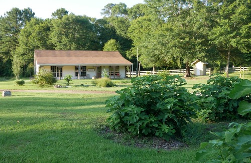 Willis House | Spacious 4-bedroom house in a quiet countryside setting with WiFi, AC