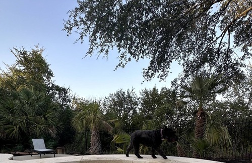 River Dance At Steiner Ranch House | Spacious 4BR with heated Pool, heated Spa Pool Table in Gated Estate.