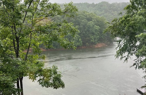 Bremen House | Spacious 5-bedroom Lakehouse, WiFi, AC in charming Bremen Al on Lewis Smith Lake