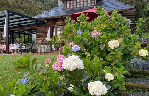 Dagua Ski Chalet | Spacious 7-bedroom chalets in the mountainous forests near Cali with WiFi