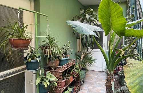 Cochabamba House | Spacious and comfortable room in the very center of the city