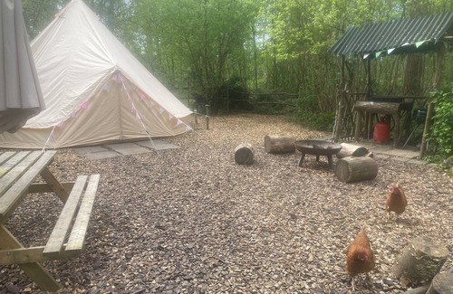 Plastow Green RV Rental | Spacious and cosy 6 meter themed Jungle Bell Tent
