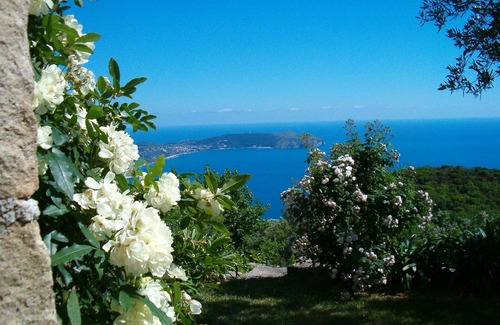 Pisciotta Apartment | Spacious and light-filled room with independent access
