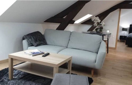 Chalon-sur-Saone Apartment | Spacious apartment in the heart of Chalon with rooftop views