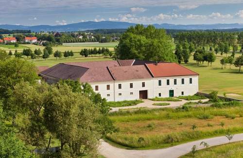 Steinakirchen am Forst Apartment | Spacious apartment consisting of 2 bedrooms with private bathrooms.