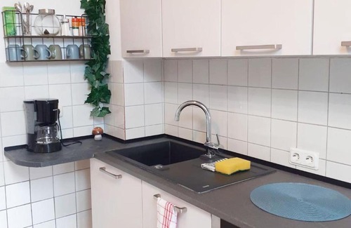 Lollar Apartment | Spacious Apartment for Traveler and Fitter