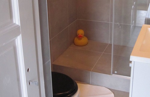 Nagyszekely Apartment | Spacious apartment with use of swimming pond in tranquil village