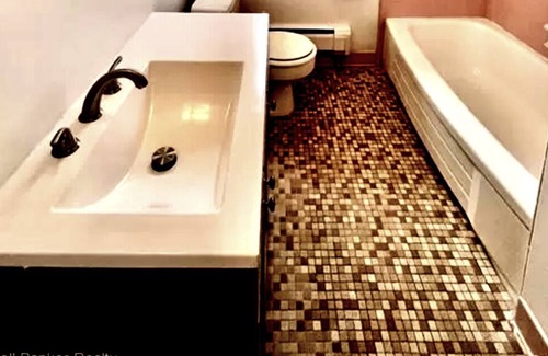 Lincoln Park Apartment | spacious apartment. clean & updated Quiet neighborhood near downtown Lincolnpark