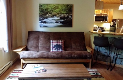 Lake Placid Apartment | Spacious, Bright, Quiet New Suite next to Park and Close to Restaurants