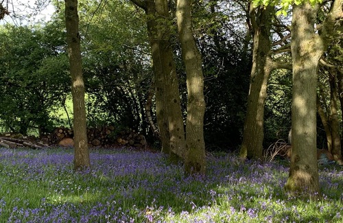 Lydney Apartment | Spacious Chalets, Eco, Pet, Disabled Friendly. Forest of Dean, Wye Valley