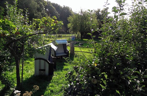 Wenzigerode House | Spacious, close to nature, group and seminar house, dogs welcome
